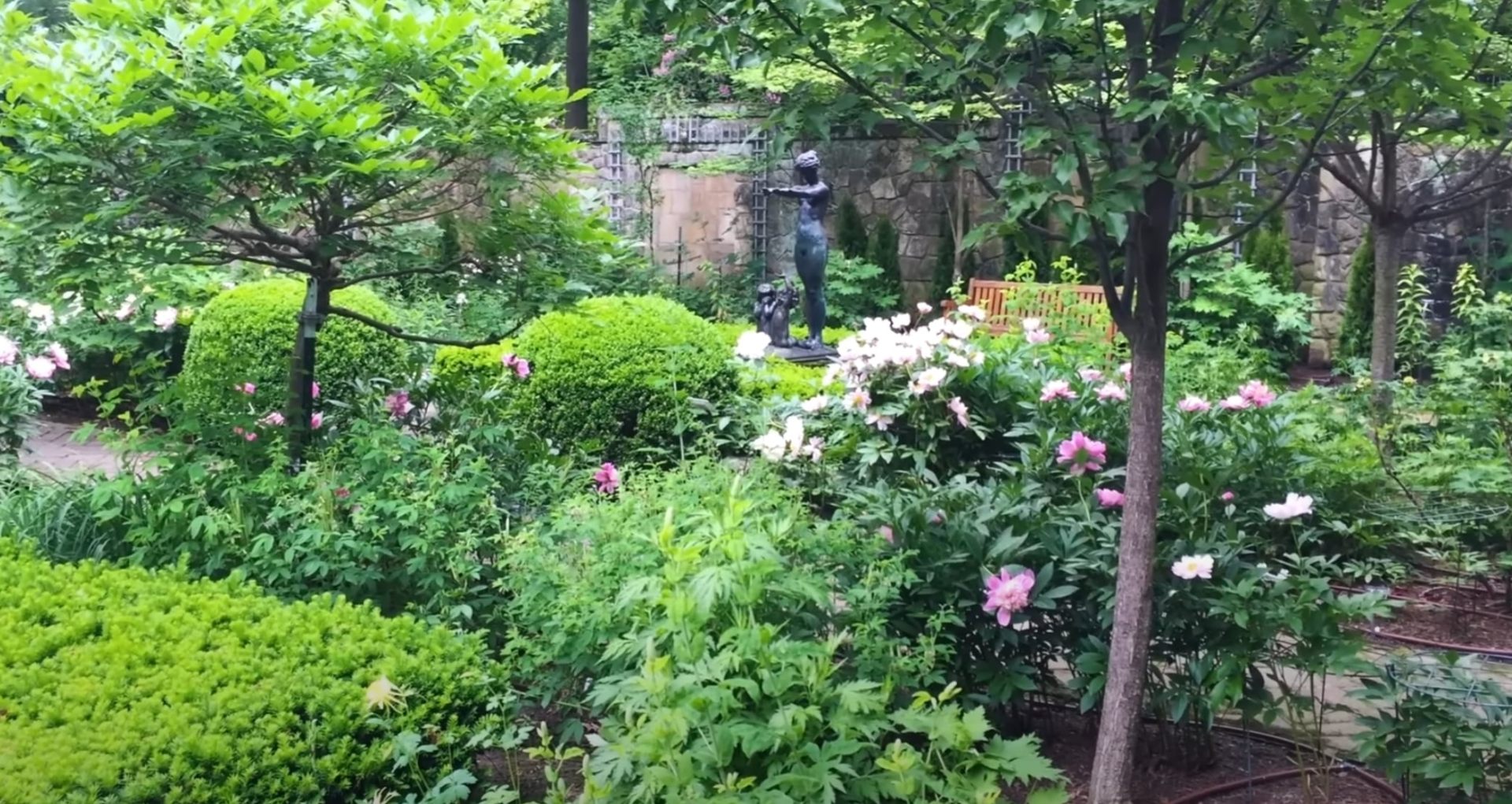 Formal garden with peonies and decorative urn centerpiece